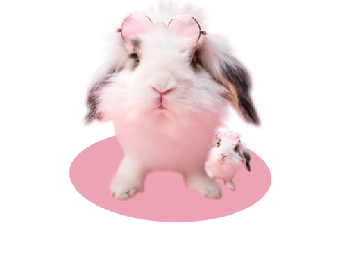 Pehmeat_arvot_pupunen